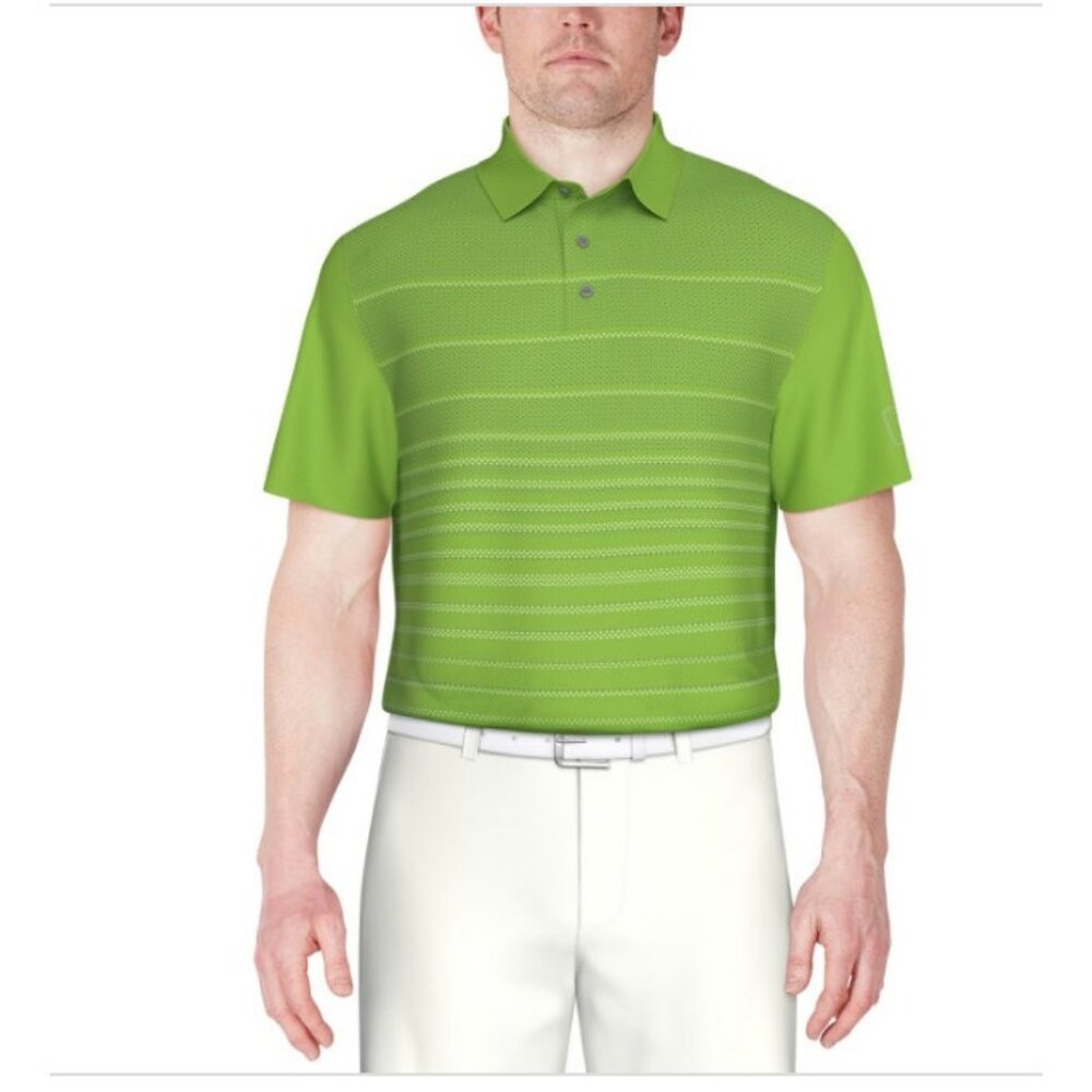 Pga Tour Mens $68 Regular Fit Short Sleeve Golf Polo Shirt Small Green Striped